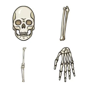 Vector design of bone and skeleton logo. Set of bone and human vector icon for Stock Illustration