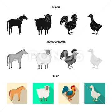 Vector design of breeding and kitchen symbol. Set of breeding and ...