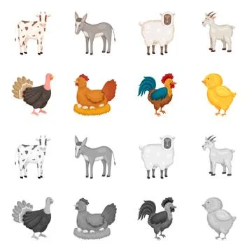 Vector design of breeding and kitchen icon. Collection of breeding and organic Stock Illustration
