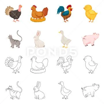 Vector design of breeding and kitchen logo. Collection of breeding and ...