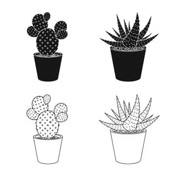 Vector design of cactus and pot icon. Set of cactus and cacti vector icon for Stock Illustration