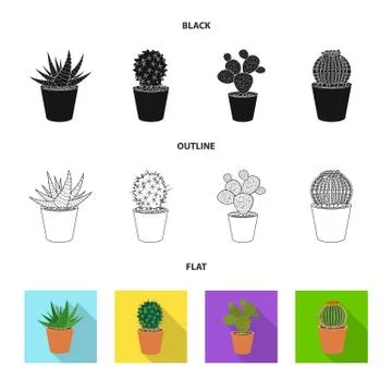 Vector design of cactus and pot sign. Set of cactus and cacti stock symbol for Stock Illustration