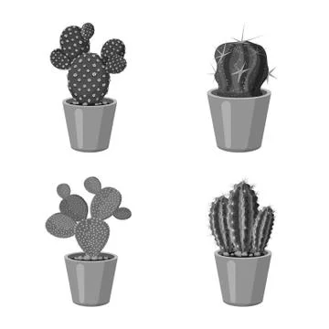 Vector design of cactus and pot symbol. Collection of cactus and cacti vector Stock Illustration