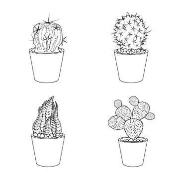 Vector design of cactus and pot sign. Collection of cactus and cacti vector icon Illustrazione stock