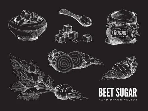 Vector design of chalk board with beet sugar natural food sweetener. イラスト素材