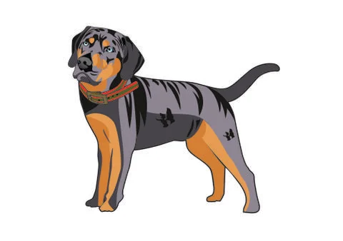 Vector design of cool dog character illustration Stock Illustration