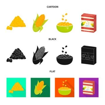 Vector design of cornfield and vegetable logo. Collection of cornfield and Stock Illustration