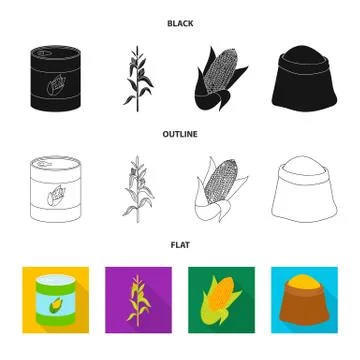 Vector design of cornfield and vegetable logo. Collection of cornfield and Stock Illustration