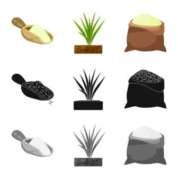 Vector design of crop and ecological icon. Collection of crop and cooking stock Stock Illustration