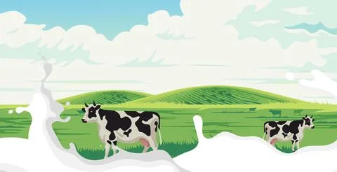 Vector design for dairy cattle farming Stock Illustration