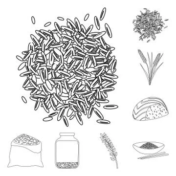 Vector design of diet and cooking symbol. Collection of diet and organic vector Stock Illustration