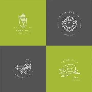 Vector design element and icon in linear style - rapeseed oil - healthy vegan Stock Illustration