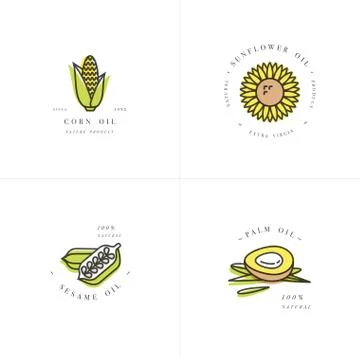 Vector design element and icon in linear style - rapeseed oil - healthy vegan Stock Illustration