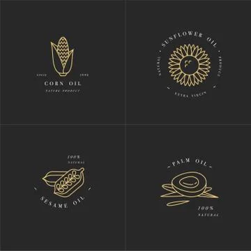 Vector design element and icon in linear style - rapeseed oil - healthy vegan Stock Illustration