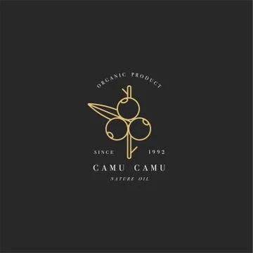 Vector design element and icon in linear style - camu camu berry - healthy eco Stock Illustration