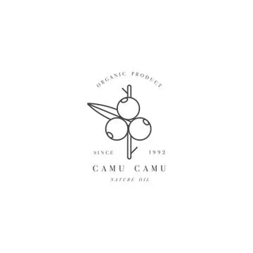 Vector design element and icon in linear style - camu camu berry - healthy eco Stock Illustration