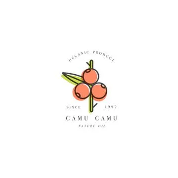 Vector design element and icon in linear style - camu camu berry - healthy eco Stock Illustration
