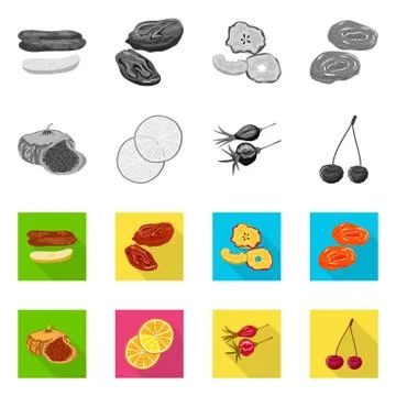 Vector design of food and raw icon. Collection of food and nature stock symbol Stock Illustration