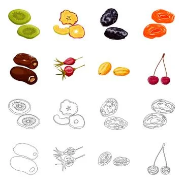 Vector design of food and raw sign. Collection of food and nature vector icon Stock Illustration