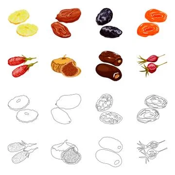 Vector design of food and raw symbol. Set of food and nature stock vector Stock Illustration