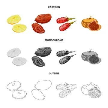 Vector design of food and raw icon. Collection of food and nature stock symbol Stock Illustration