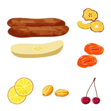 Vector design of fruit and dried icon. Set of fruit and food vector icon for Stock Illustration