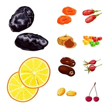 Vector design of fruit and dried sign. Collection of fruit and food stock vector Stock Illustration