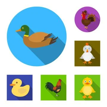 Vector design of funny and poultry logo. Collection of funny and farming vector Illustrazione stock