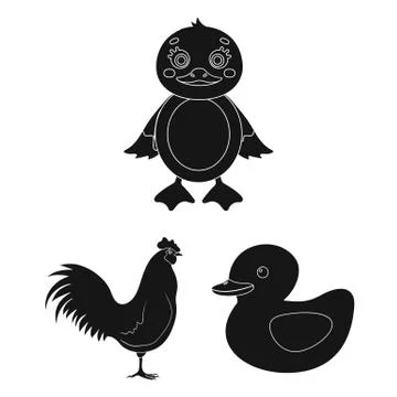 Vector design of funny and poultry icon. Set of funny and farming stock symbol Illustrazione stock