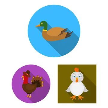 Vector design of funny and poultry symbol. Set of funny and farming vector icon Illustrazione stock