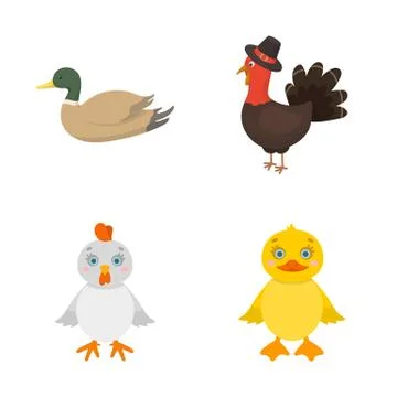 Vector design of funny and poultry logo. Set of funny and farming stock symbol Illustrazione stock