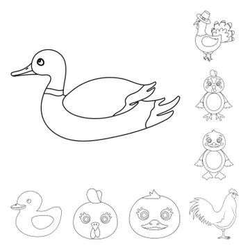 Vector design of funny and poultry symbol. Set of funny and farming vector icon Illustrazione stock