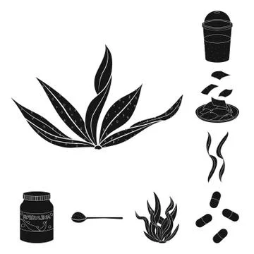 Vector design of grass and natural icon. Collection of grass and seaweed stock Stock Illustration
