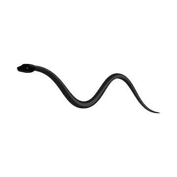 Vector design of harm and bite icon. Set of harm and reptile stock symbol for Stock Illustration