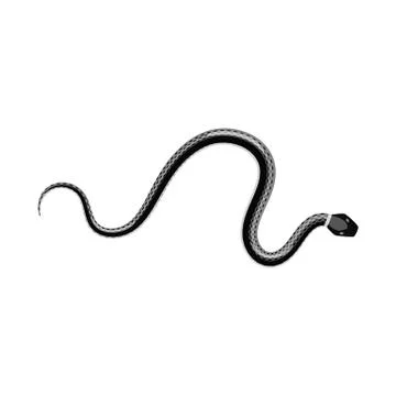 Vector design of harm and bite logo. Collection of harm and reptile stock vector Stock Illustration