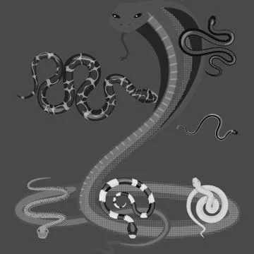 Vector design of harm and bite logo. Collection of harm and reptile stock vector Stock Illustration