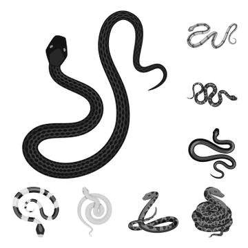 Vector design of harm and bite logo. Collection of harm and reptile stock vector Stock-Illustration