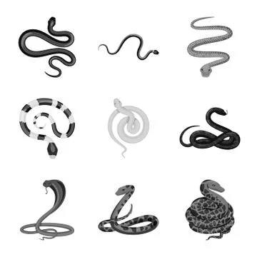 Vector design of harm and bite sign. Set of harm and reptile vector icon for Stock Illustration