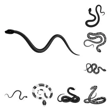 Vector design of harm and bite logo. Set of harm and reptile stock vector Stock-Illustration