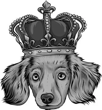 Vector design of head Dog king in white background Stock-Illustration