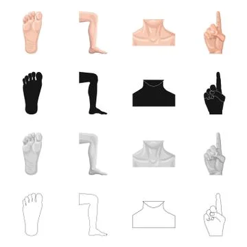 Vector design of human and part symbol. Set of human and woman vector icon for Stock Illustration