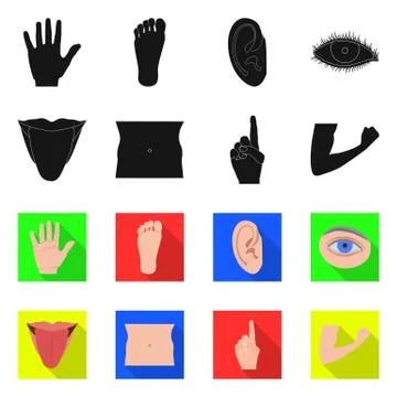 Vector design of human and part symbol. Set of human and woman vector icon for Stock Illustration