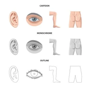 Vector design of human and part sign. Set of human and woman vector icon for Stock Illustration