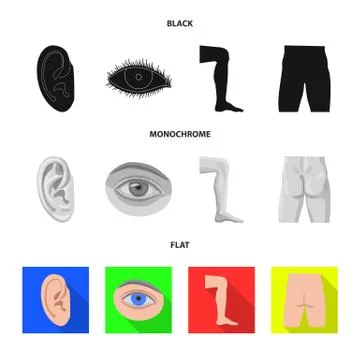 Vector design of human and part icon. Collection of human and woman stock symbol Stock Illustration