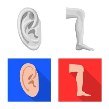 Vector design of human and part icon. Collection of human and woman vector icon Stock Illustration