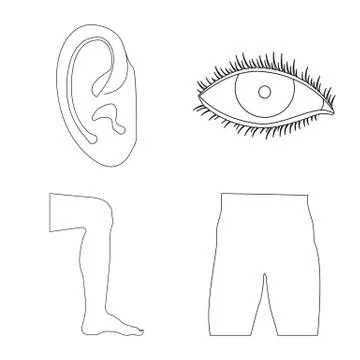 Vector design of human and part symbol. Collection of human and woman vector Stock Illustration
