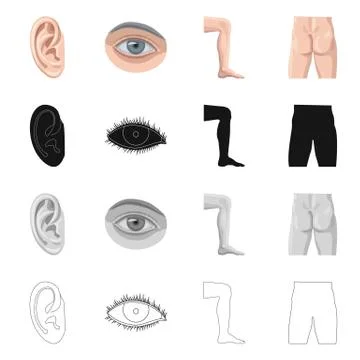 Vector design of human and part sign. Set of human and woman vector icon for Stock Illustration