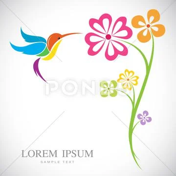 Vector design of hummingbird and flowers on white background Stock Illustration