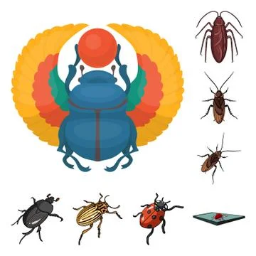 Vector design of insect and beetle icon. Set of insect and halloween vector icon Stock Illustration