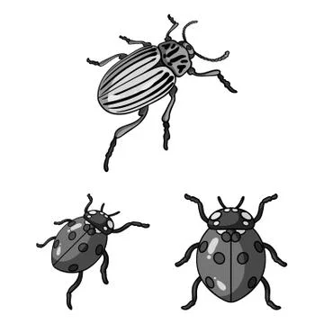 Vector design of insect and beetle logo. Collection of insect and halloween Stock Illustration